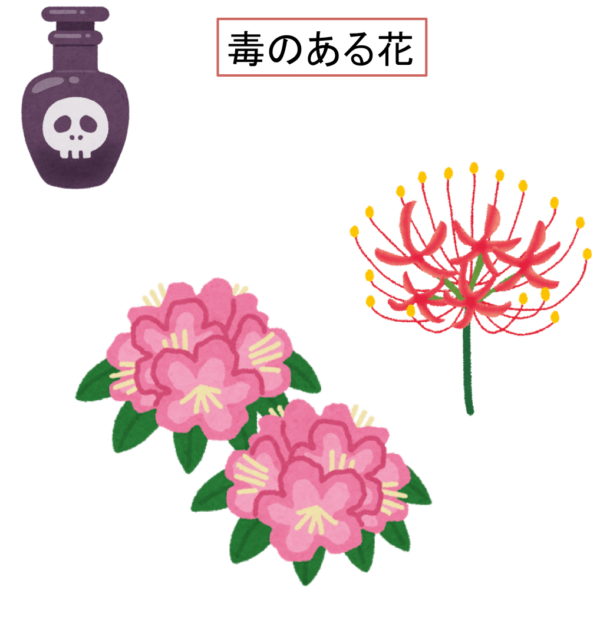 仏壇にダメな花　毒のある花　シャクナゲ　キョウチクトウ　彼岸花など